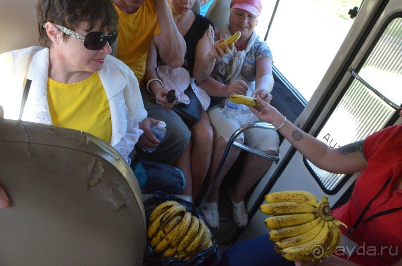 Мои туристы.