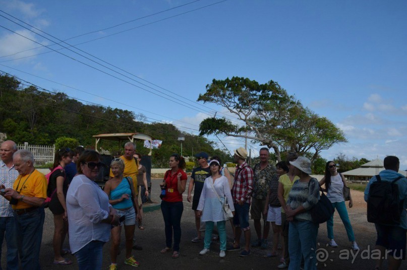 Мои туристы.