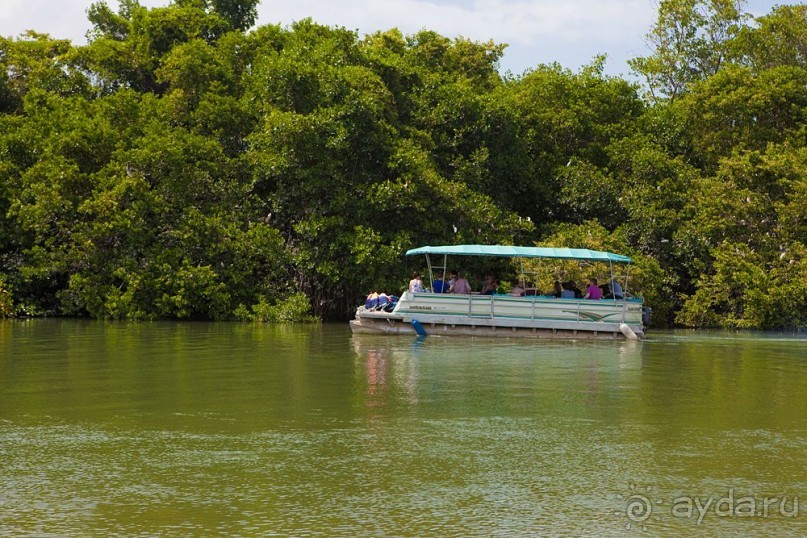 Туристическая Ямайка.