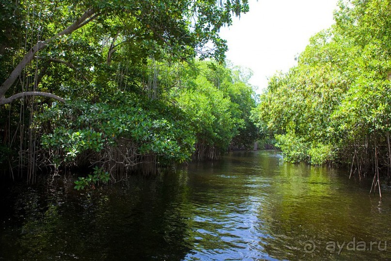 Туристическая Ямайка.