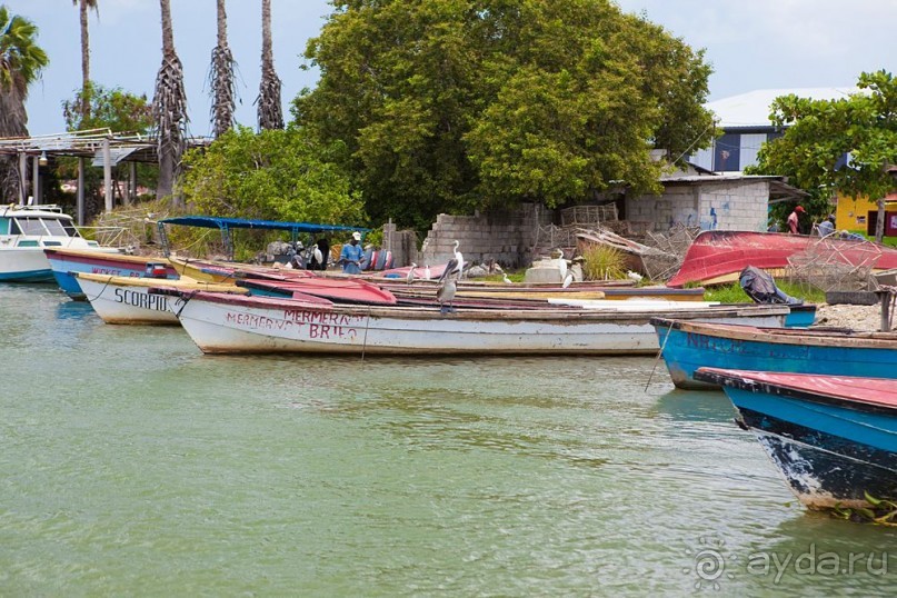 Туристическая Ямайка.