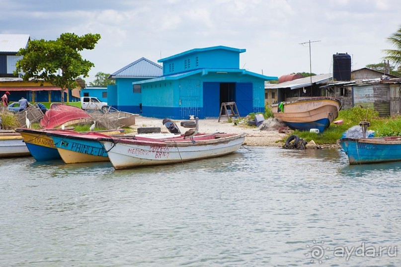 Туристическая Ямайка.