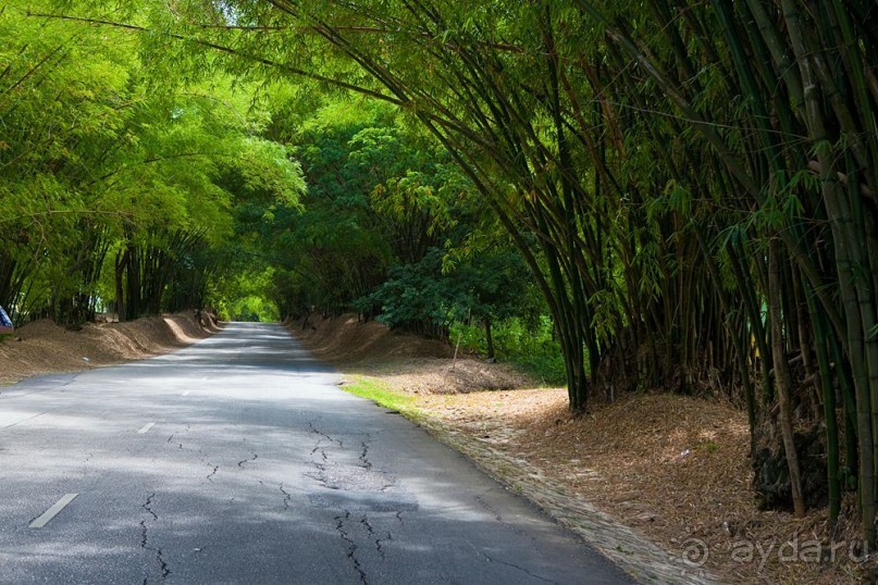 Туристическая Ямайка.