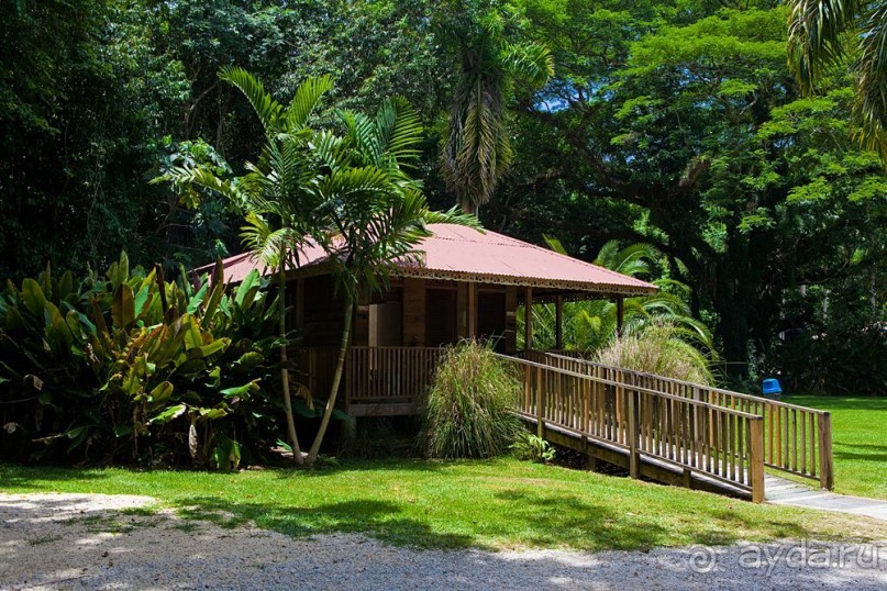 Туристическая Ямайка.