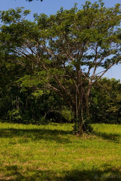 Туристическая Ямайка.