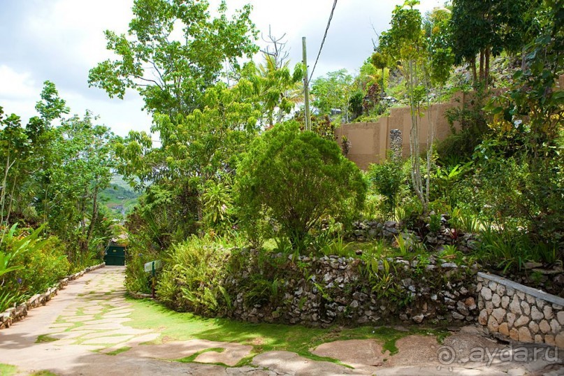 Туристическая Ямайка.