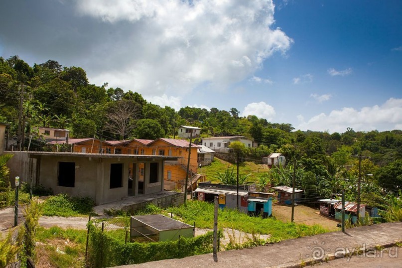 Туристическая Ямайка.