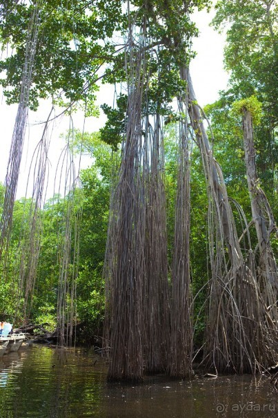 Туристическая Ямайка.