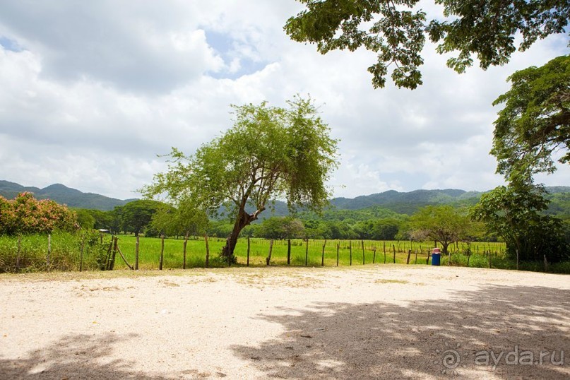 Туристическая Ямайка.