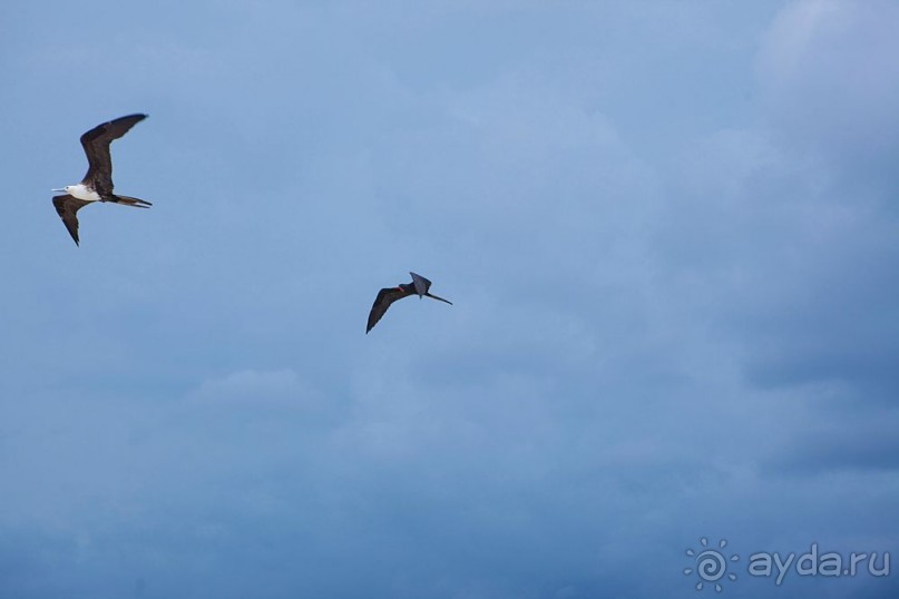 Туристическая Ямайка.