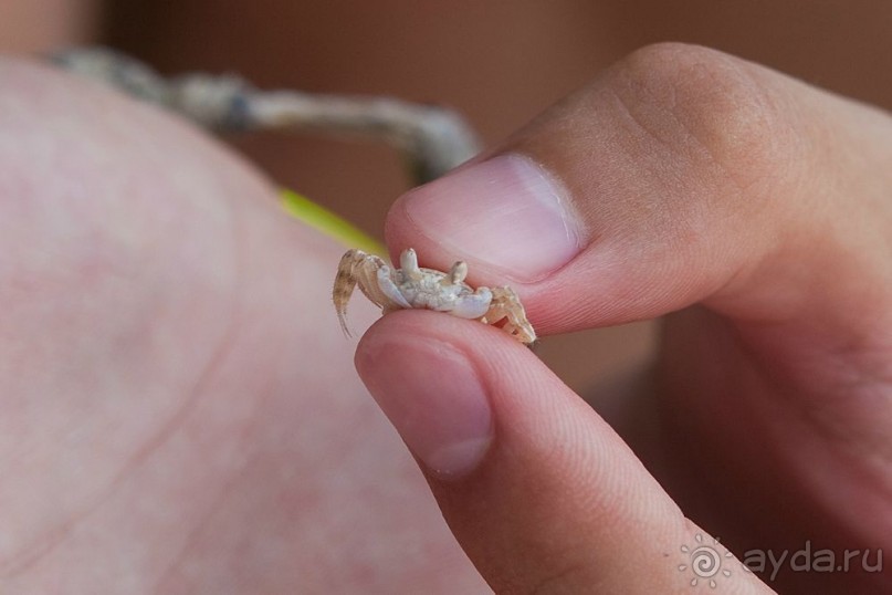 Туристическая Ямайка.