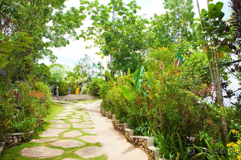 Туристическая Ямайка.