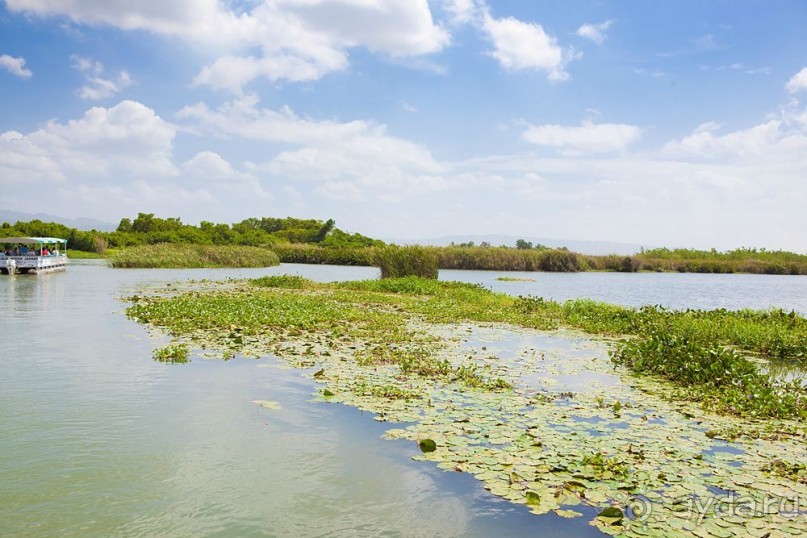 Туристическая Ямайка.