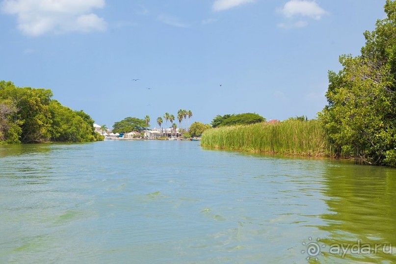 Туристическая Ямайка.