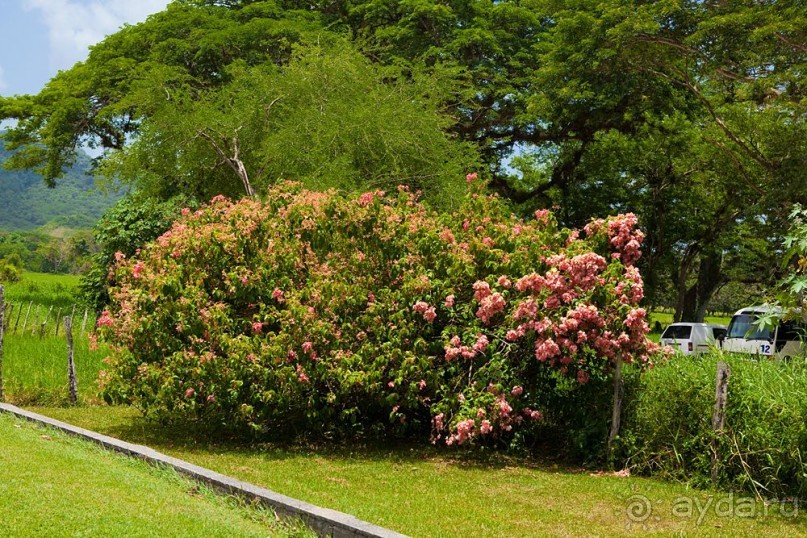 Туристическая Ямайка.