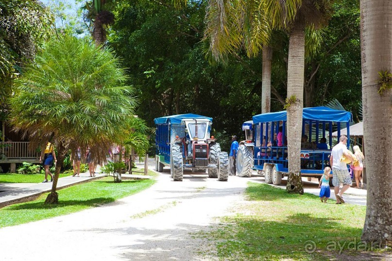 Туристическая Ямайка.