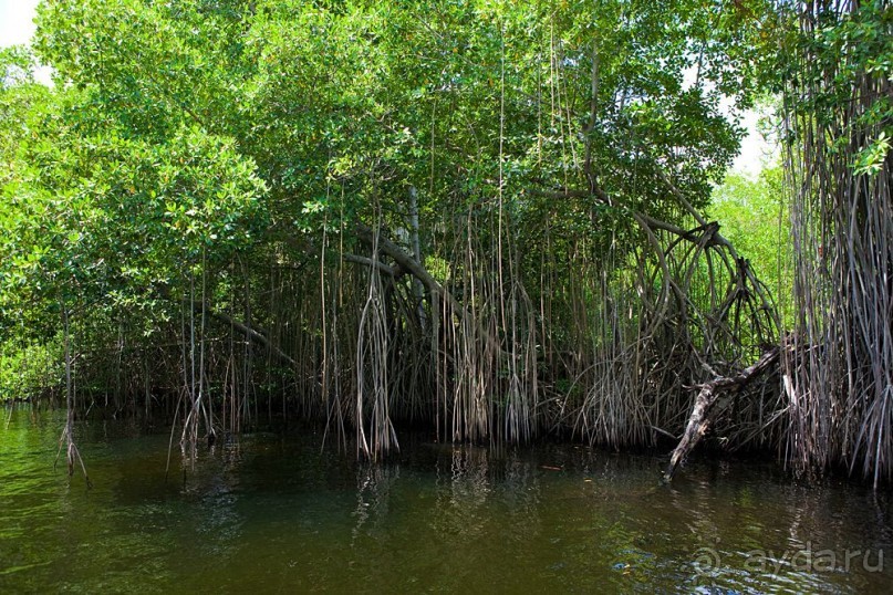 Туристическая Ямайка.