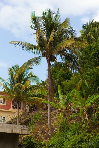 Туристическая Ямайка.