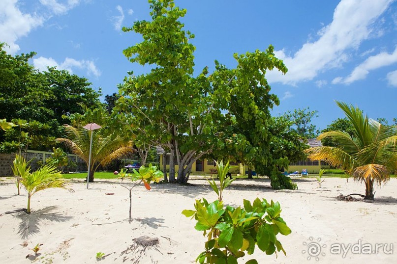 Туристическая Ямайка.