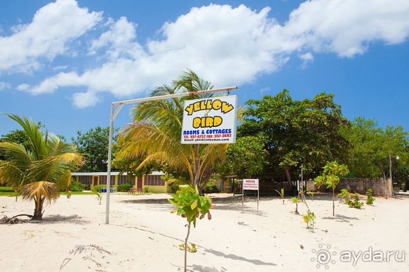 Туристическая Ямайка.