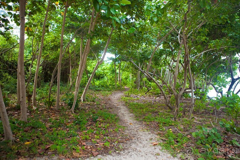 Туристическая Ямайка.