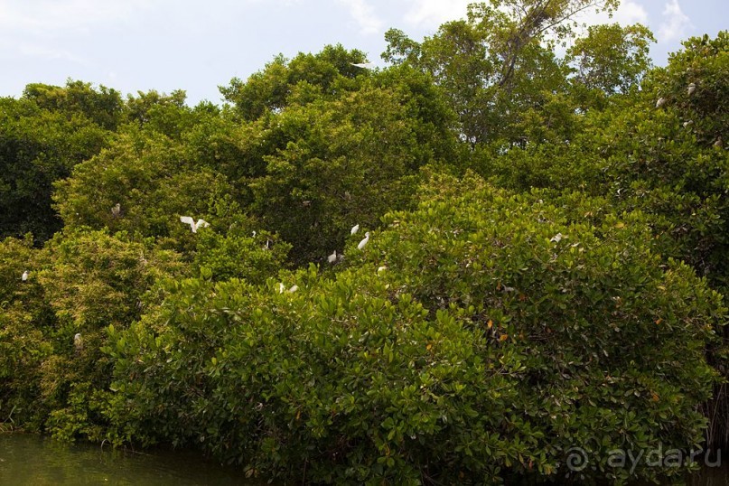 Туристическая Ямайка.