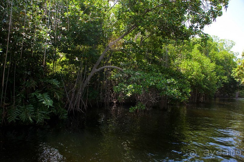 Туристическая Ямайка.