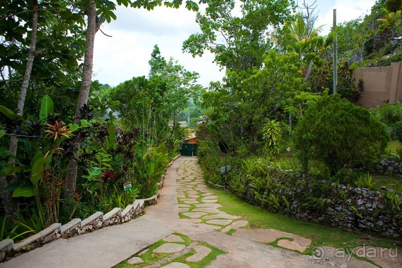 Туристическая Ямайка.