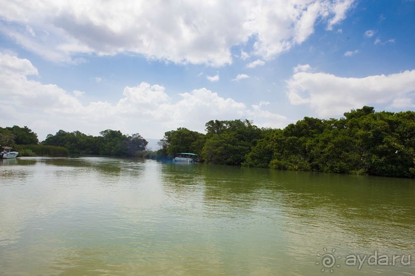 Туристическая Ямайка.