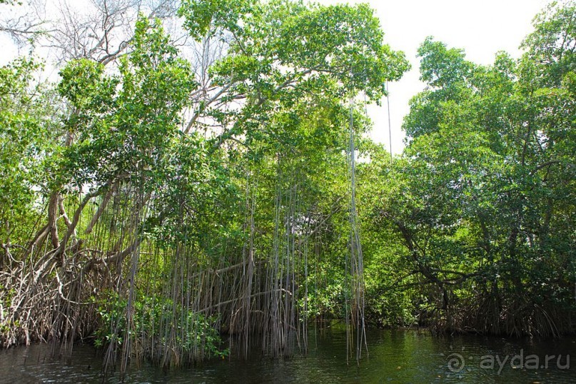 Туристическая Ямайка.