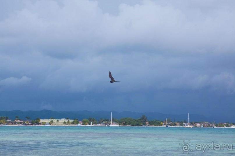 Туристическая Ямайка.