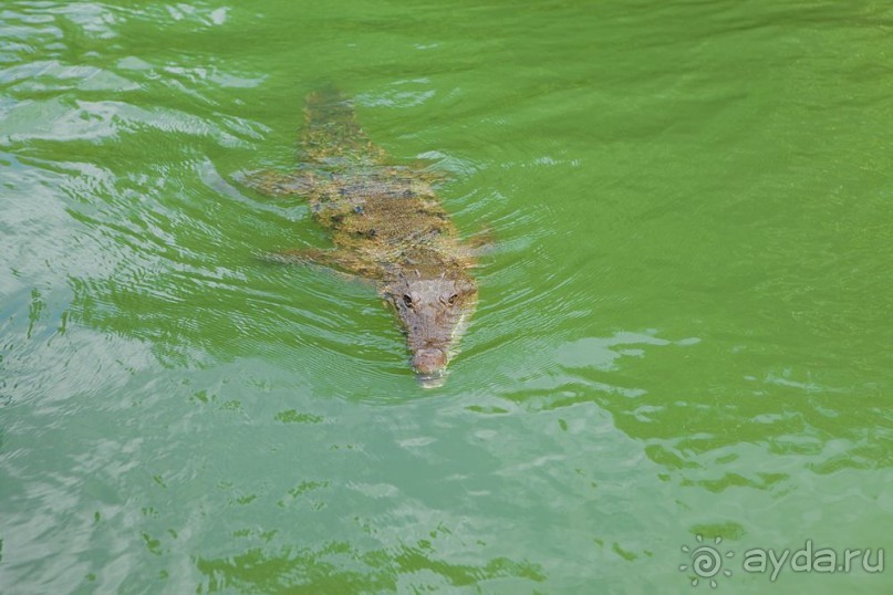 Туристическая Ямайка.