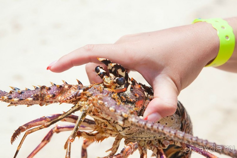 Туристическая Ямайка.