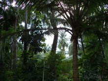 Хочу туда вернуться!!!