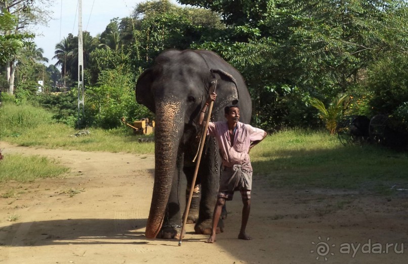 Хочу туда вернуться!!!