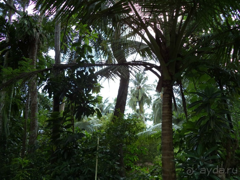 Хочу туда вернуться!!!