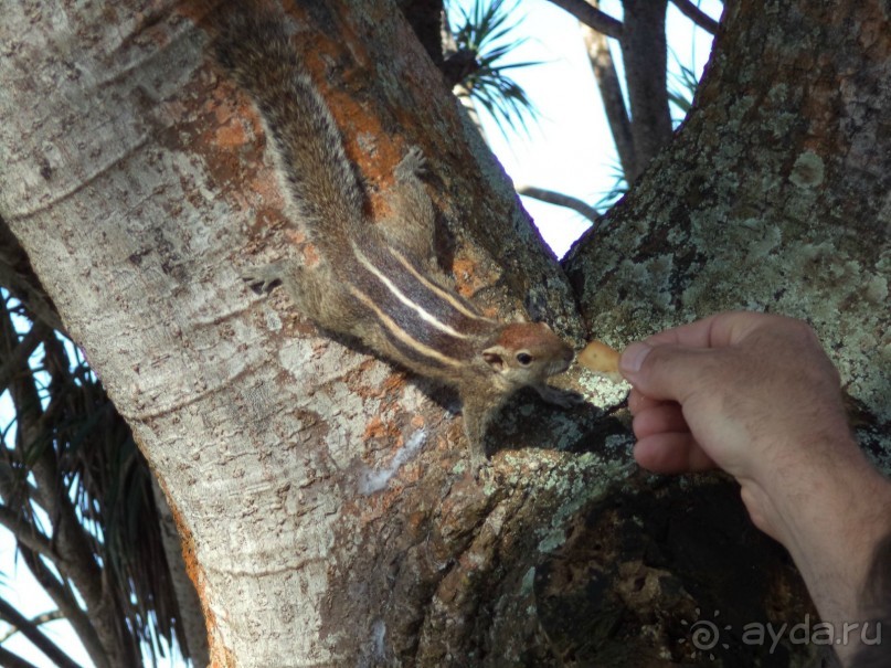 Хочу туда вернуться!!!