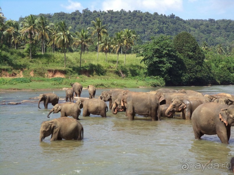 Хочу туда вернуться!!!