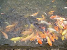 Понравилось и даже очень!