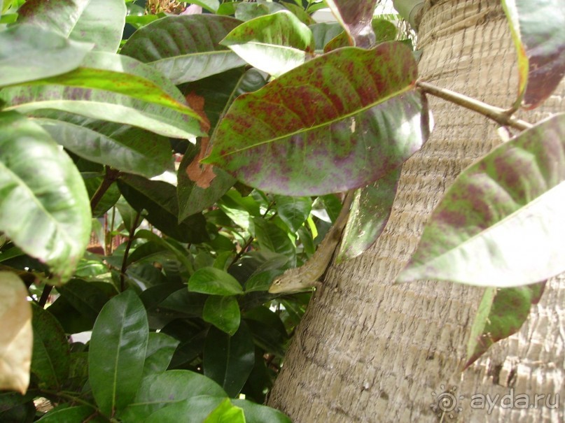 Понравилось и даже очень!