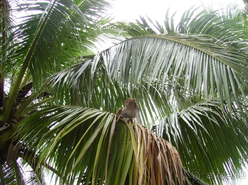 Понравилось и даже очень!