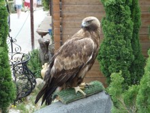 Испания . Малага.