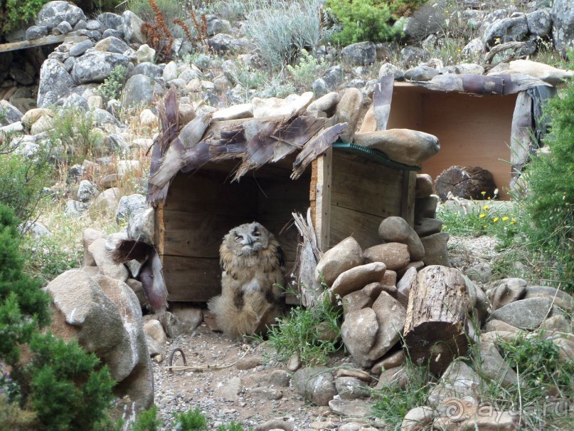 Испания . Малага.