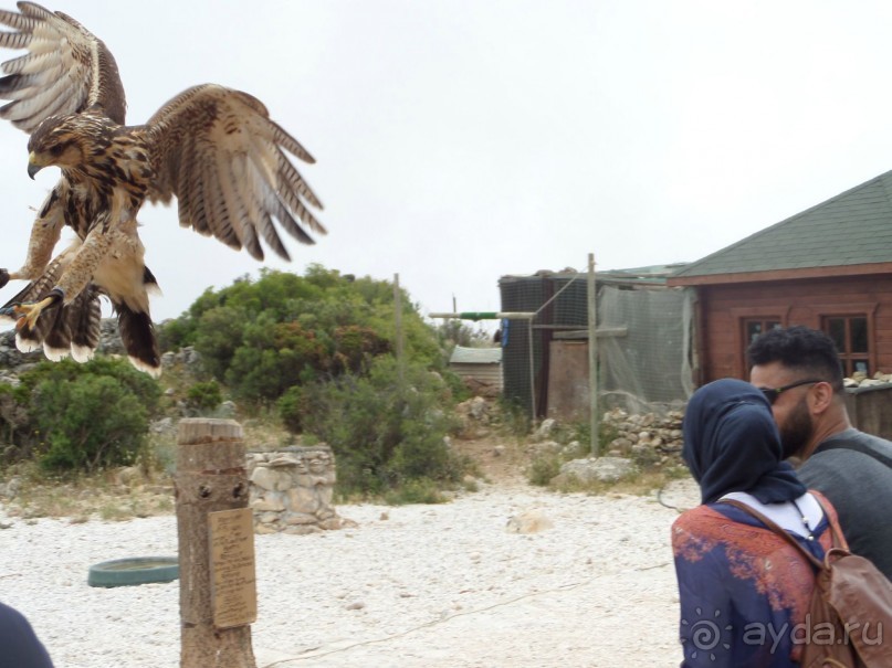 Испания . Малага.