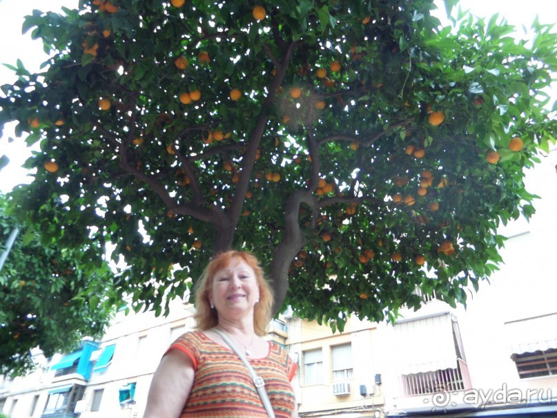 Испания . Малага.