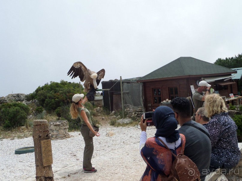 Испания . Малага.