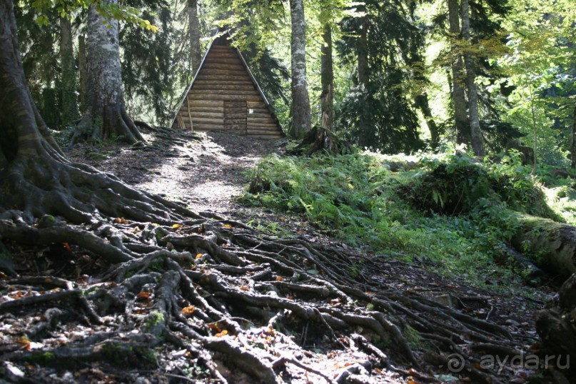 АБХАЗИЯ СОЛНЕЧНАЯ И СНЕЖНАЯ