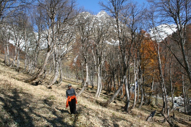 АБХАЗИЯ СОЛНЕЧНАЯ И СНЕЖНАЯ