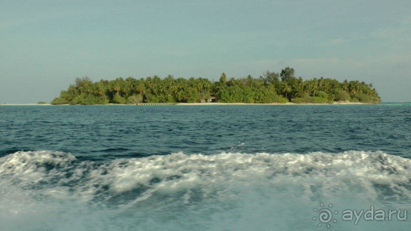 Остров Олувели. Впечатления моего друга.