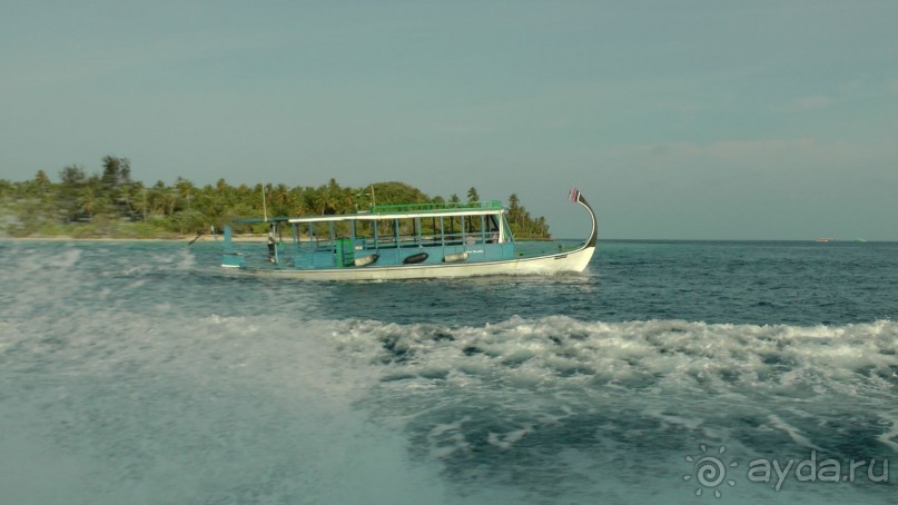 Остров Олувели. Впечатления моего друга.